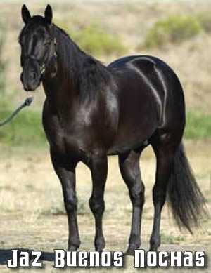 Jaz Buenos Nochas