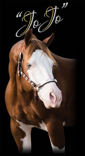 Colonels Shining Gun