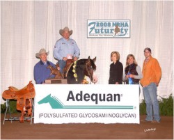 Whiz Van Winkle 2nd breed